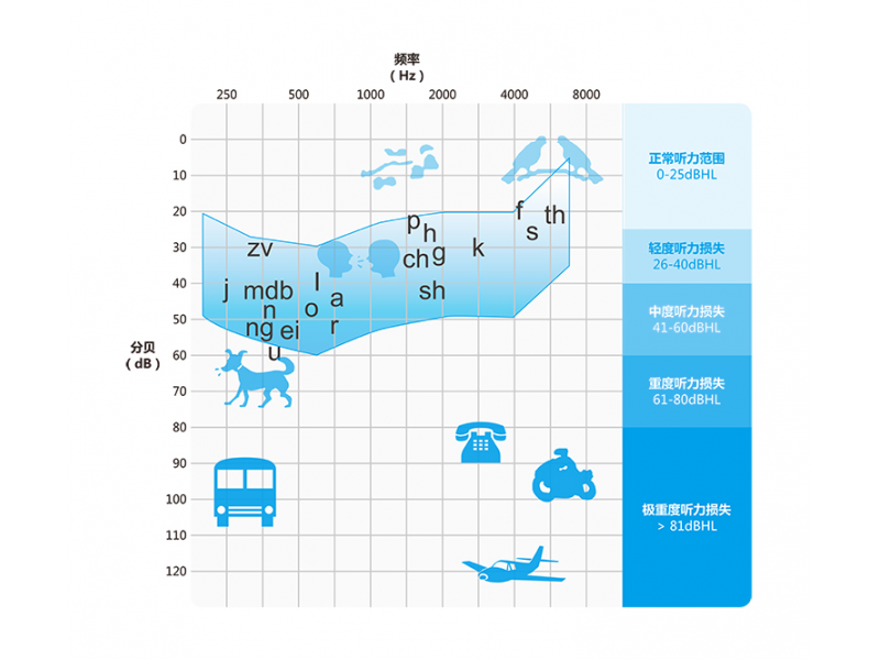 听力损失分级 言语频谱图